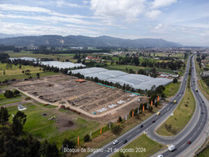 Avance en las terrazas y cimientos, ya se distingue el urbanismos completo de Bosque de Sagano