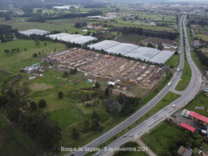 El avance en Bosque de Sagano sigue adelante con paso firme. Se consolidan nuevas estructuras, destacando el progreso continuo en las viviendas y el urbanismo del proyecto.